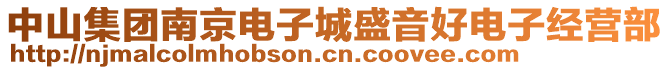 中山集團南京電子城盛音好電子經營部
