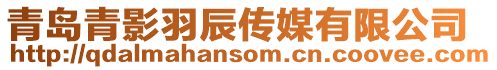 青島青影羽辰傳媒有限公司