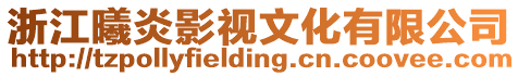 浙江曦炎影視文化有限公司