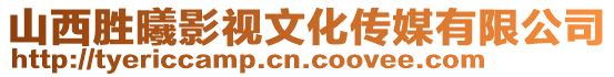 山西勝曦影視文化傳媒有限公司