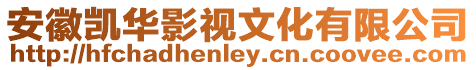 安徽凱華影視文化有限公司
