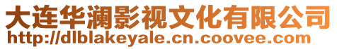 大連華瀾影視文化有限公司