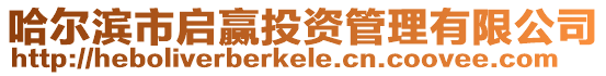 哈爾濱市啟贏投資管理有限公司