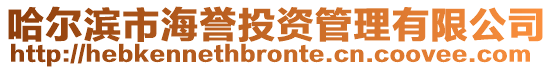 哈爾濱市海譽投資管理有限公司
