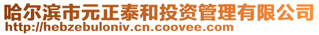 哈爾濱市元正泰和投資管理有限公司