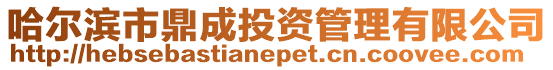 哈爾濱市鼎成投資管理有限公司