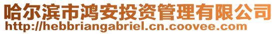 哈爾濱市鴻安投資管理有限公司