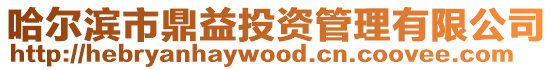 哈爾濱市鼎益投資管理有限公司