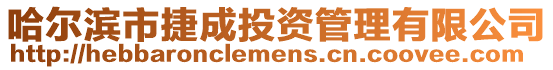 哈爾濱市捷成投資管理有限公司