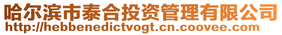 哈爾濱市泰合投資管理有限公司