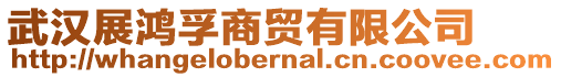 武漢展鴻孚商貿(mào)有限公司