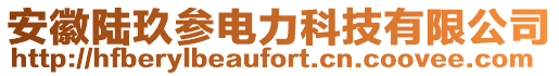 安徽陸玖參電力科技有限公司