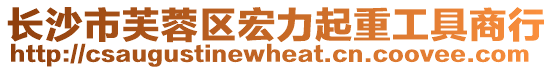 長沙市芙蓉區宏力起重工具商行