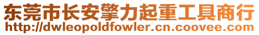 東莞市長安擎力起重工具商行