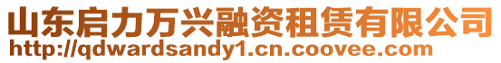山東啟力萬興融資租賃有限公司