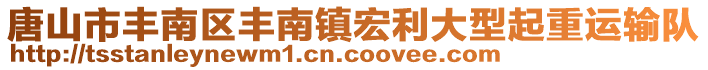 唐山市豐南區(qū)豐南鎮(zhèn)宏利大型起重運(yùn)輸隊(duì)