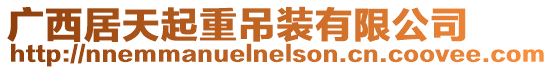 廣西居天起重吊裝有限公司