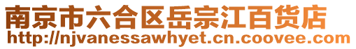 南京市六合區岳宗江百貨店