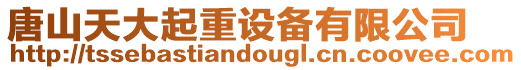 唐山天大起重設備有限公司
