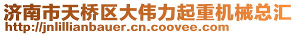 濟南市天橋區大偉力起重機械總匯