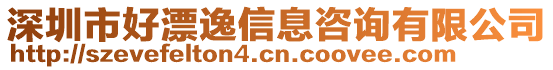 深圳市好漂逸信息咨詢有限公司