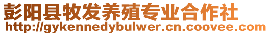 彭陽縣牧發(fā)養(yǎng)殖專業(yè)合作社