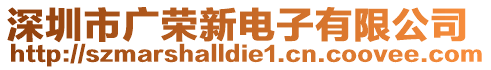 深圳市廣榮新電子有限公司