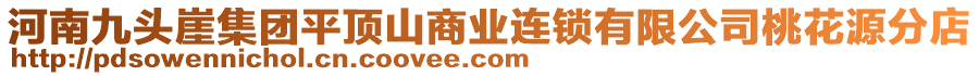 河南九頭崖集團平頂山商業(yè)連鎖有限公司桃花源分店