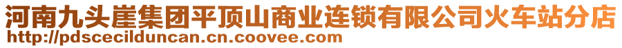 河南九頭崖集團(tuán)平頂山商業(yè)連鎖有限公司火車站分店