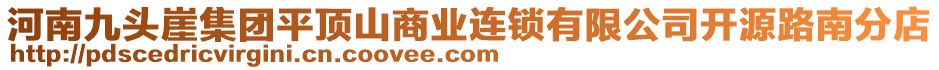 河南九頭崖集團(tuán)平頂山商業(yè)連鎖有限公司開源路南分店