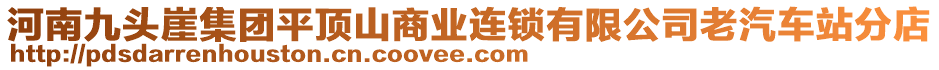 河南九頭崖集團(tuán)平頂山商業(yè)連鎖有限公司老汽車站分店