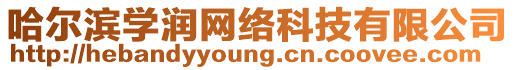 哈爾濱學(xué)潤網(wǎng)絡(luò)科技有限公司