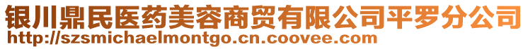 銀川鼎民醫(yī)藥美容商貿(mào)有限公司平羅分公司