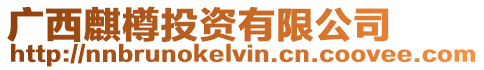 廣西麒樽投資有限公司