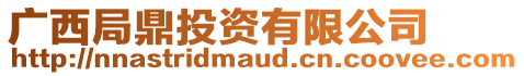 廣西局鼎投資有限公司