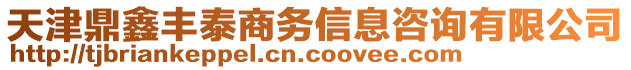 天津鼎鑫豐泰商務信息咨詢有限公司