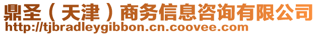 鼎圣（天津）商務信息咨詢有限公司