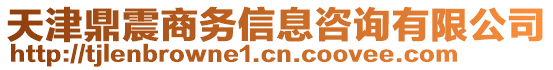 天津鼎震商務(wù)信息咨詢有限公司