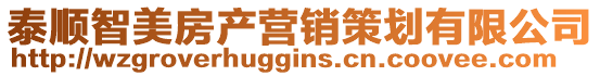 泰順智美房產(chǎn)營銷策劃有限公司