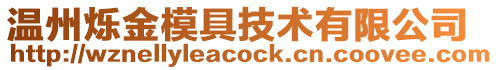 溫州爍金模具技術(shù)有限公司