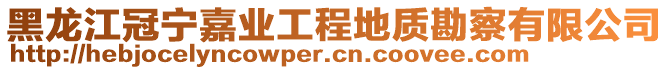 黑龍江冠寧嘉業工程地質勘察有限公司