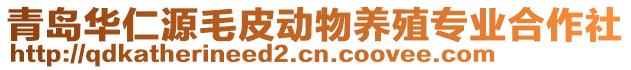 青島華仁源毛皮動物養(yǎng)殖專業(yè)合作社