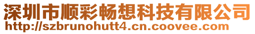 深圳市順彩暢想科技有限公司