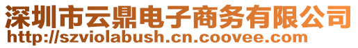 深圳市云鼎電子商務(wù)有限公司