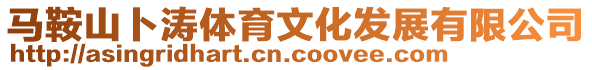 馬鞍山卜濤體育文化發(fā)展有限公司