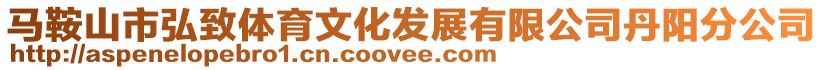 馬鞍山市弘致體育文化發(fā)展有限公司丹陽分公司