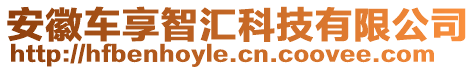 安徽車(chē)享智匯科技有限公司