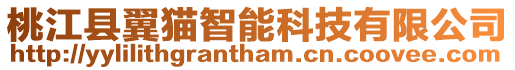 桃江縣翼貓智能科技有限公司