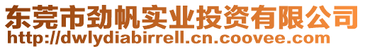 東莞市勁帆實業投資有限公司