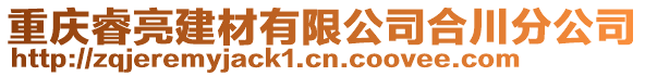 重慶睿亮建材有限公司合川分公司